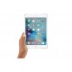  iPad Mini 4 16g WiFi